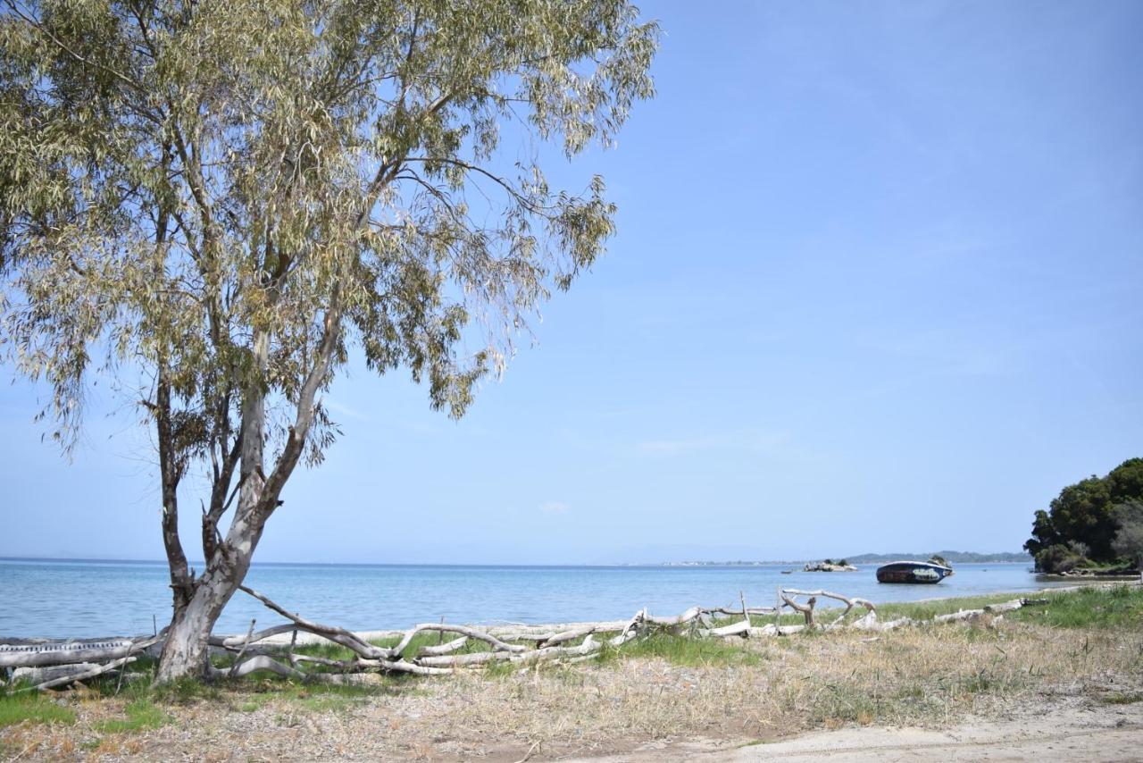 Corfu Seaview Maisonette - Sopra Il Mare Petriti  Exterior photo